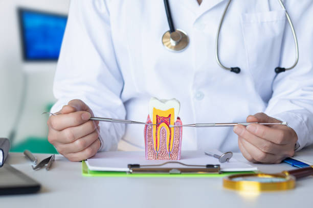 Best Emergency Dental Care for Sports Injuries in Upper Saddle River, NJ